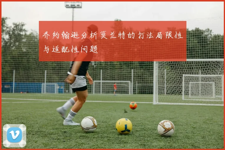 乔约翰逊分析莫兰特的打法局限性与适配性问题